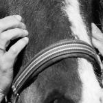 Barbara 22. April 2015 3357-2