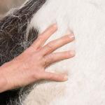 Barbara 22. April 2015 3390-2